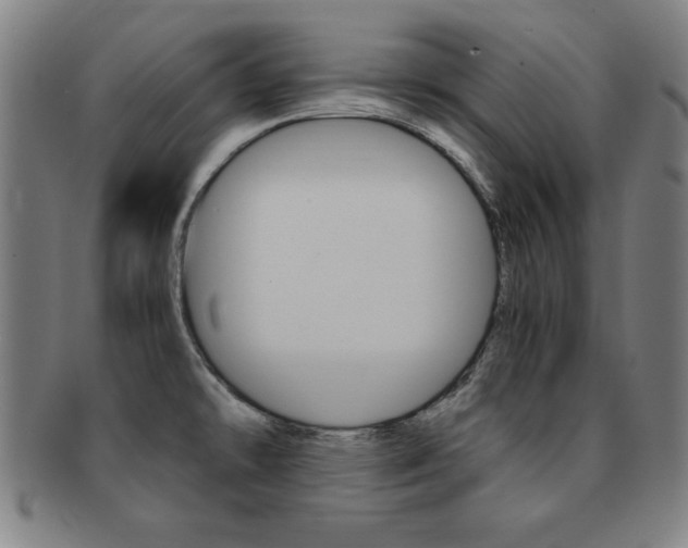 X0000091881478200709051005