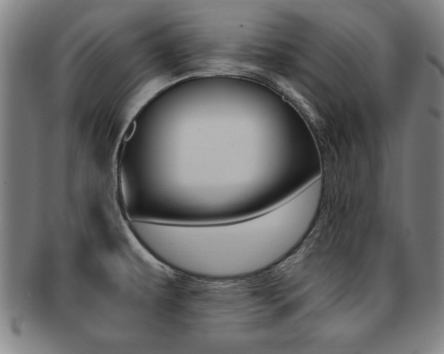 X0000091881479200709051005