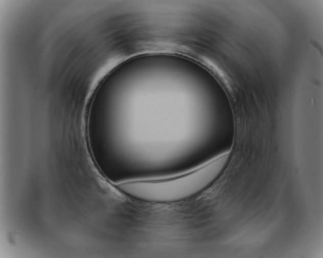 X0000091881480200709051005