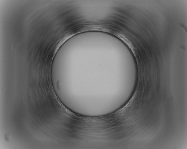 X0000091881481200709051005