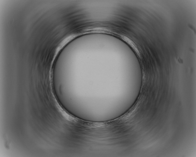 X0000091881482200709051005