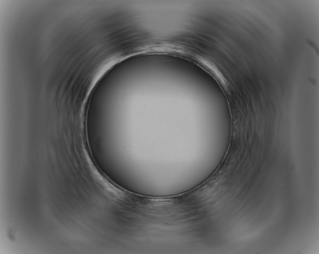 X0000091881483200709051005