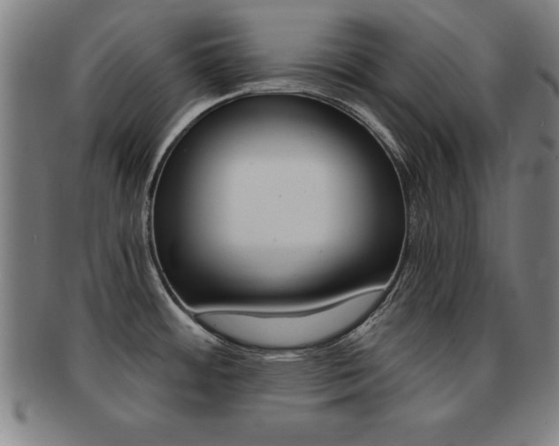 X0000091881484200709051005