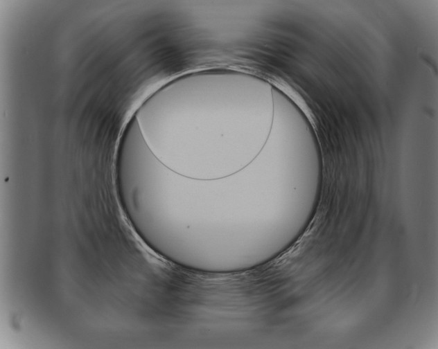 X0000091881485200709051005