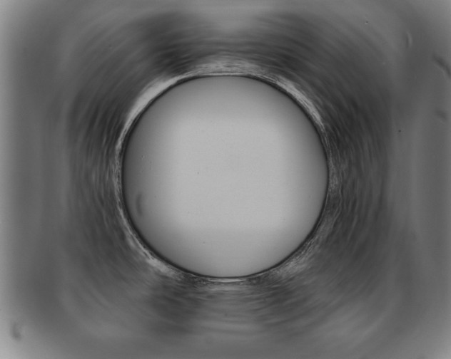 X0000091881486200709051005