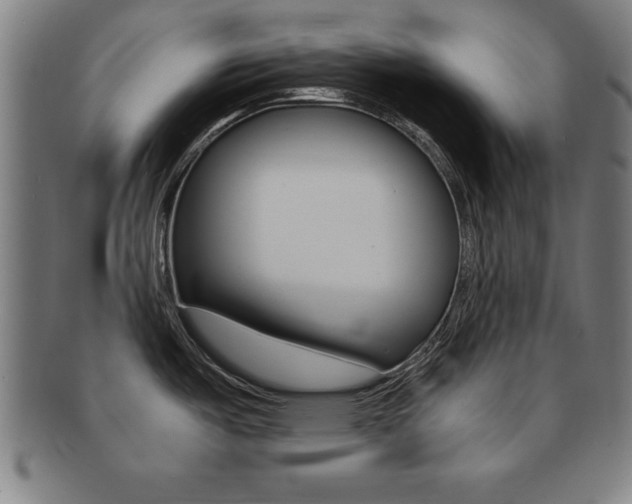 X0000091881487200709051005
