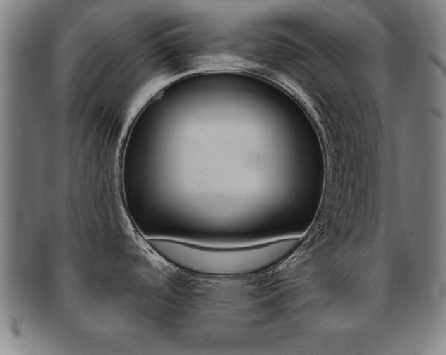 X0000091881488200709051005