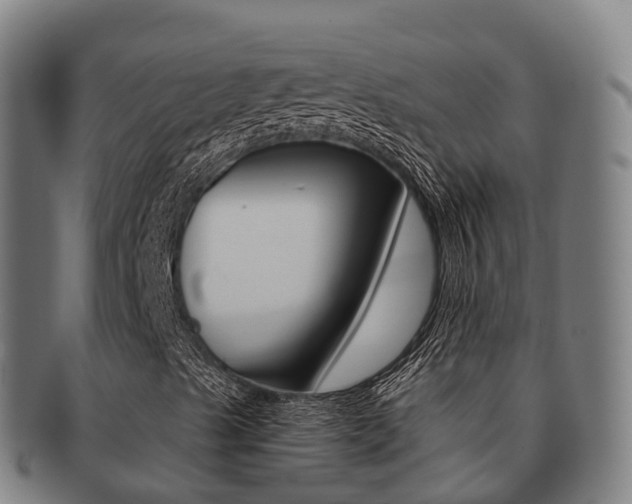X0000091881489200709051004