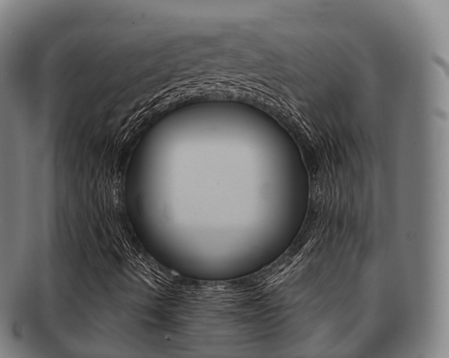X0000091881490200709051004
