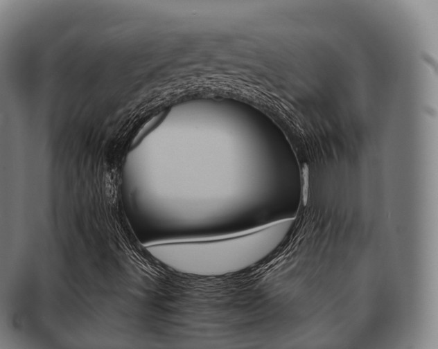 X0000091881491200709051004