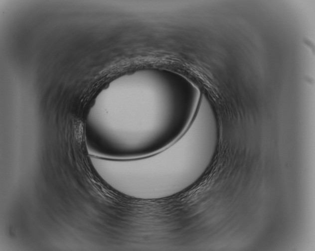 X0000091881492200709051004