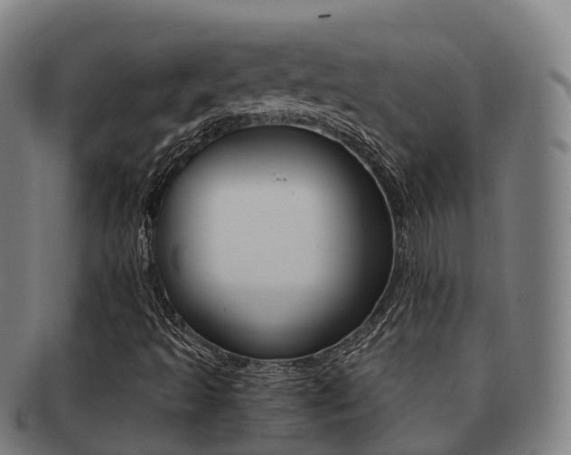 X0000091881493200709051004