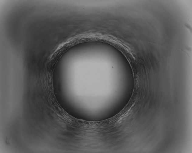 X0000091881494200709051004
