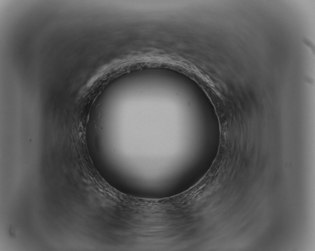 X0000091881495200709051004