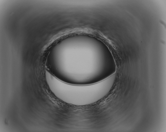 X0000091881496200709051004