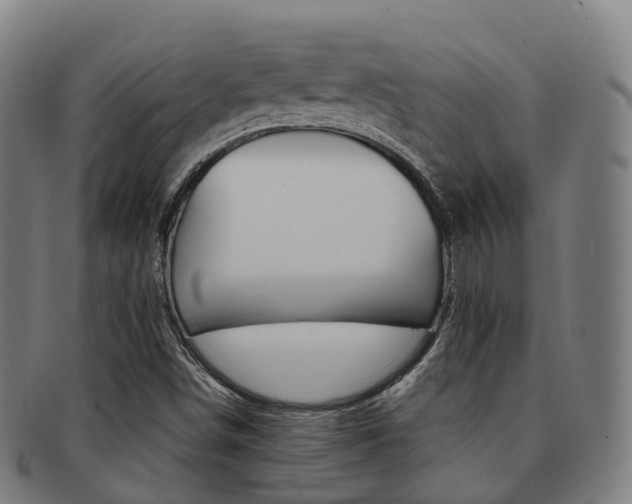 X0000091881498200709051004