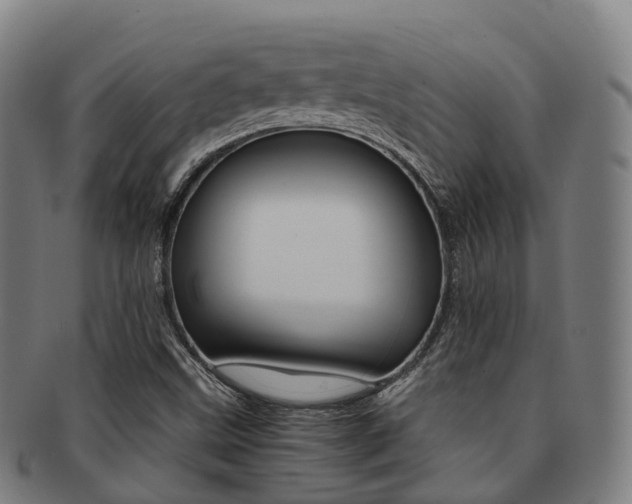 X0000091881499200709051004