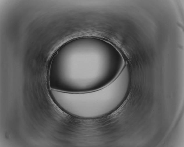 X0000091881500200709051004