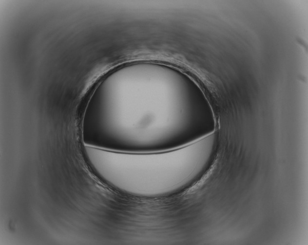 X0000091881501200709051004