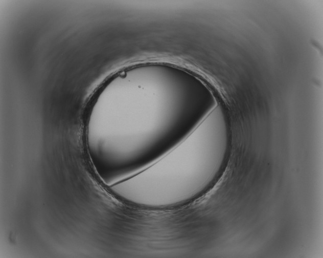 X0000091881502200709051004