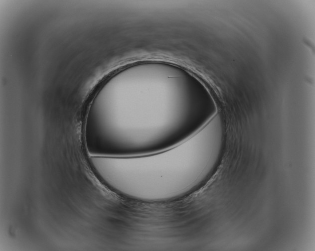 X0000091881503200709051004