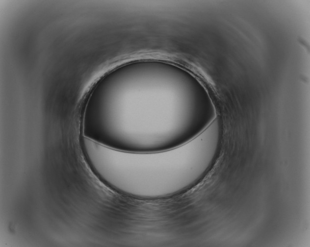 X0000091881504200709051005