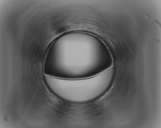 X0000091881505200709051005