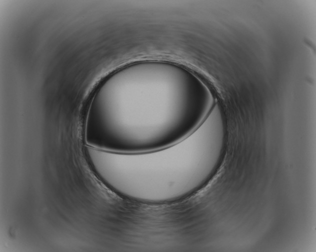 X0000091881506200709051005