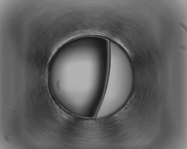 X0000091881508200709051005
