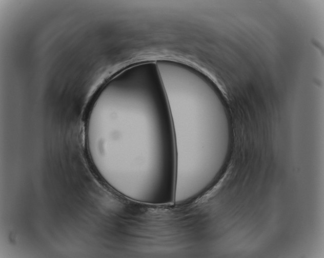X0000091881509200709051005