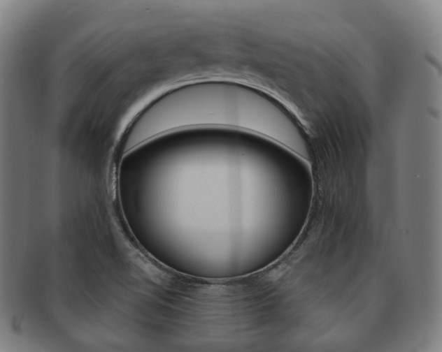 X0000091881510200709051005