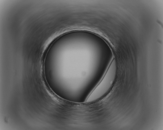 X0000091881511200709051005