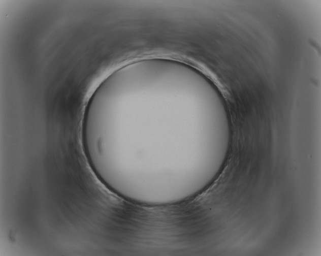 X0000091881512200709051005