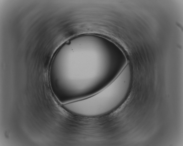 X0000091881513200709051005