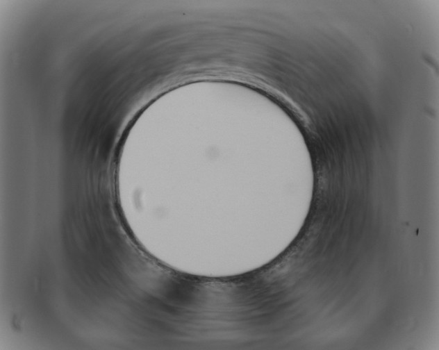 X0000091881514200709051005