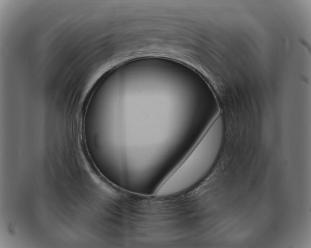 X0000091881515200709051005