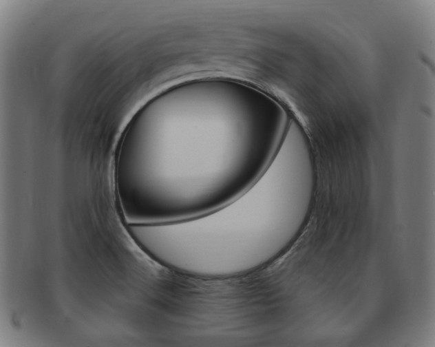 X0000091881516200709051005