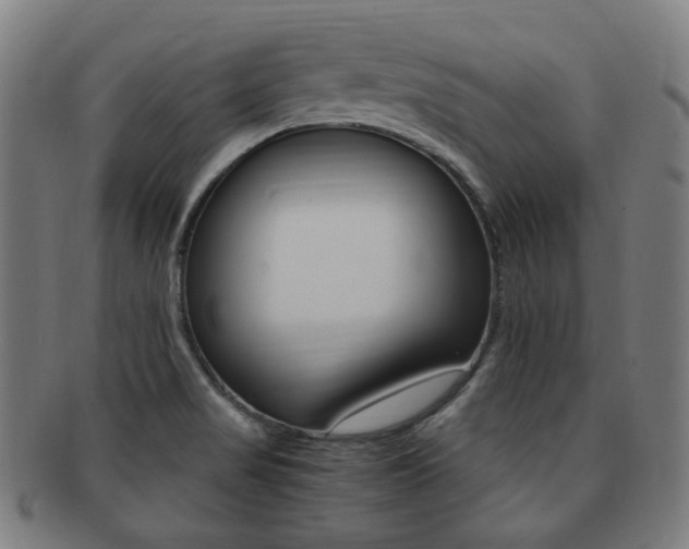 X0000091881517200709051005