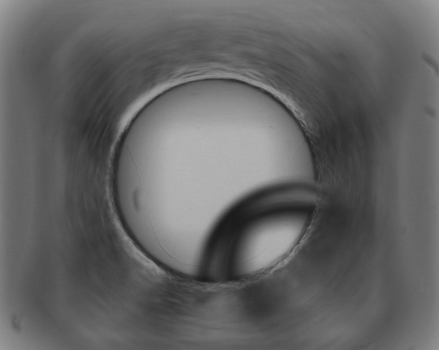 X0000091881518200709051005