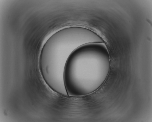 X0000091881520200709051005