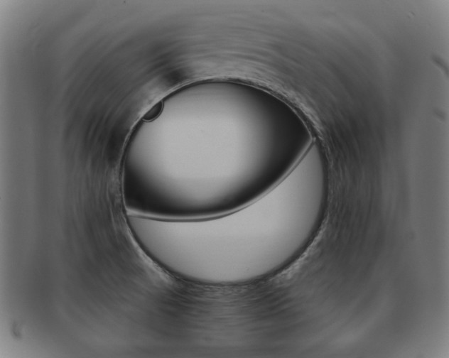 X0000091881521200709051005