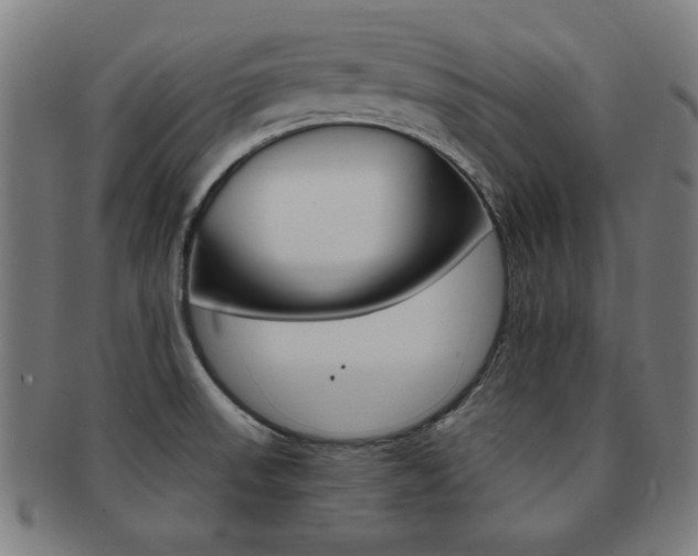 X0000091881523200709051005