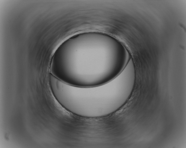 X0000091881524200709051005