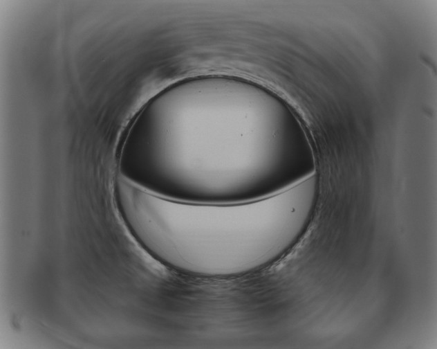 X0000091881525200709051005