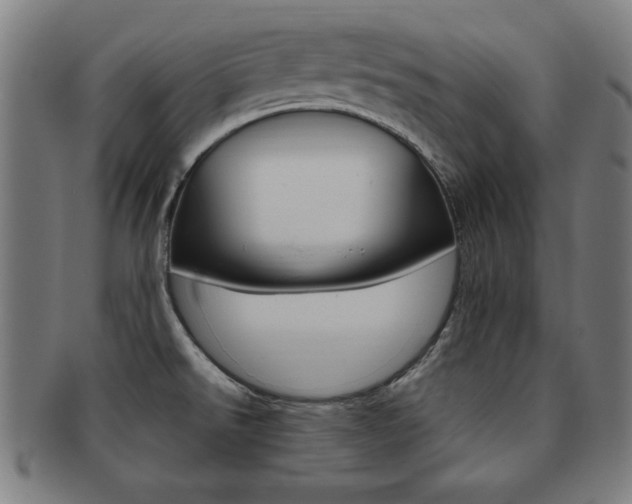 X0000091881526200709051005