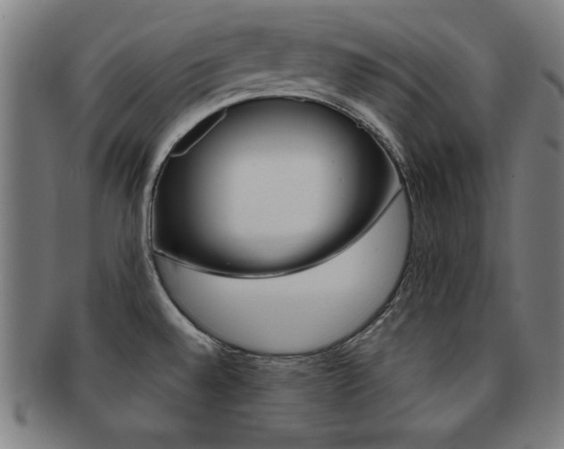 X0000091881528200709051005