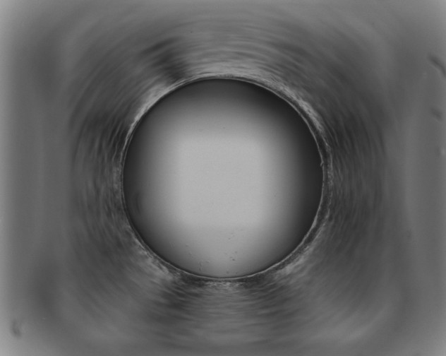 X0000091881529200709051005