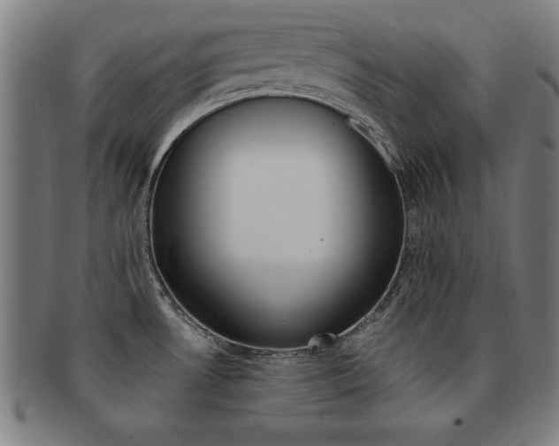 X0000091881530200709051005