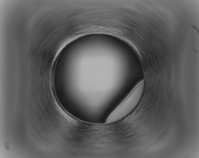 X0000091881531200709051005