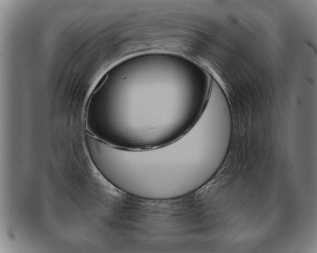 X0000091881532200709051005